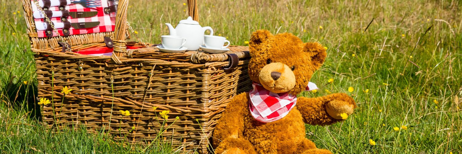 Teddy Bears' Picnic Melton Libraries