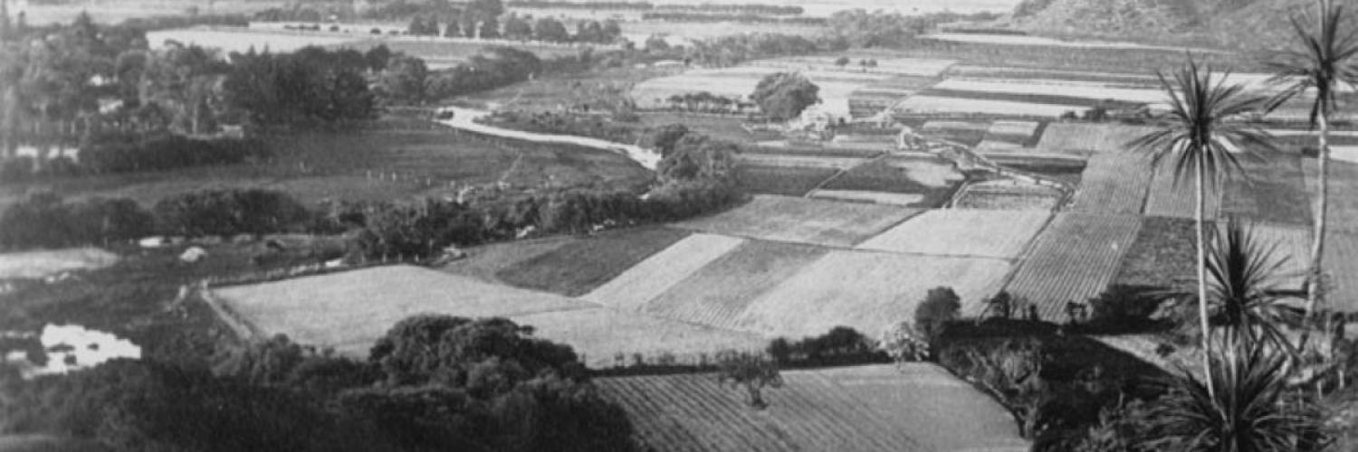 Chinese Settlers in the Hutt Valley