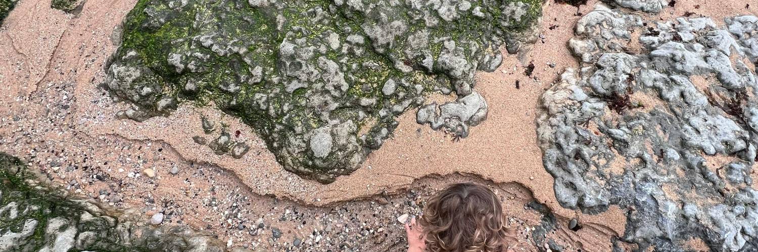 Learn About Australian Marine Life - Indoor Rockpool Session (Grades Kinder - Prep)