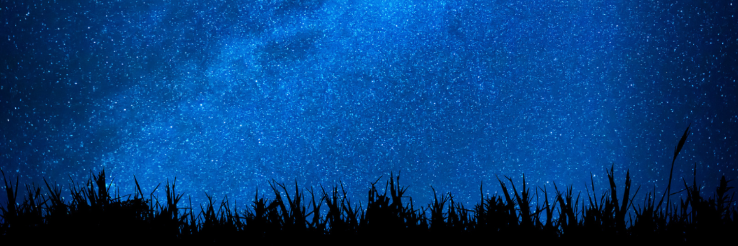 Film: 'The Life of Chuck' (2025)