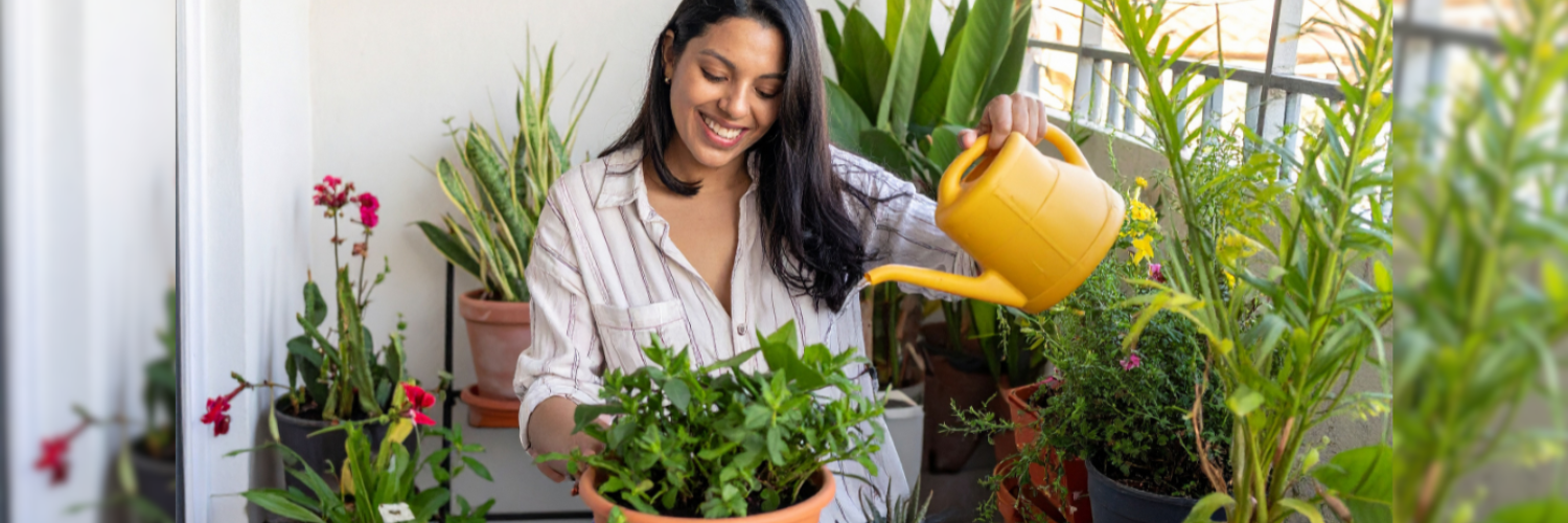 Gardening for small spaces