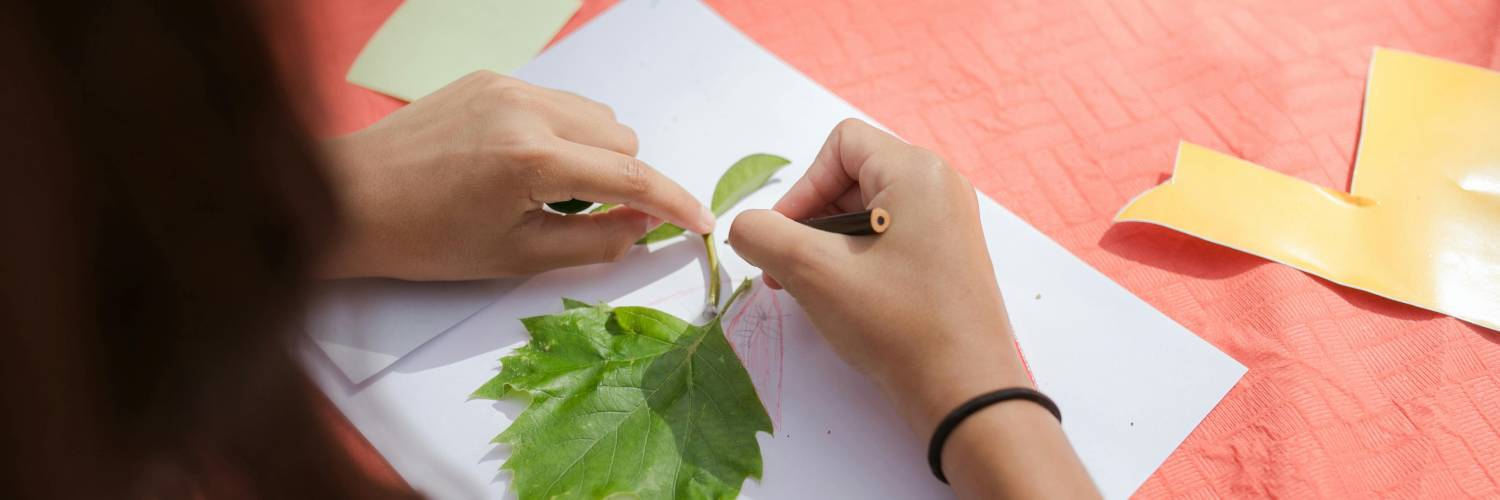 Sketch Club - Nature Challenge!