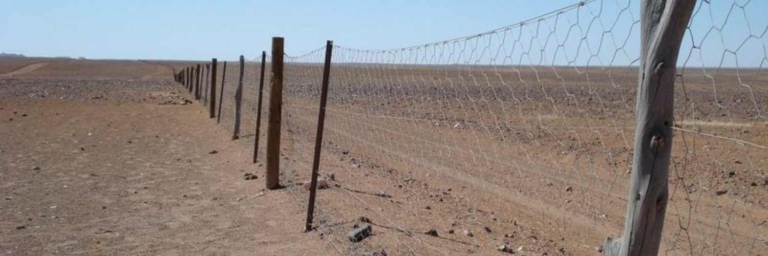Film: 'Rabbit-Proof Fence' (2002)