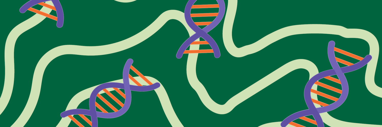 DNA ancestral tests: can they help find lost ancestors?