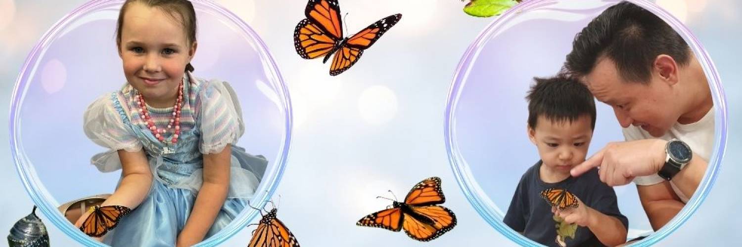 Butterfly Magic